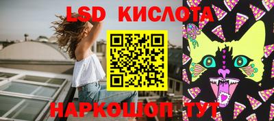 амф Кандалакша